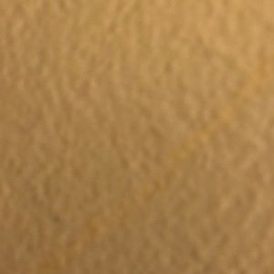 Meet your Posher, Roy